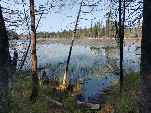 IMG_20180813_111300982_HDR.jpg